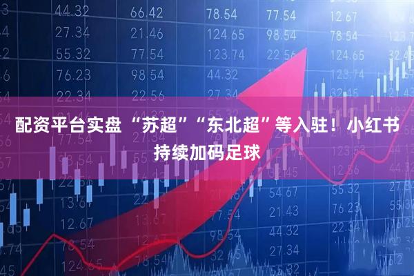 配资平台实盘 “苏超”“东北超”等入驻！小红书持续加码足球