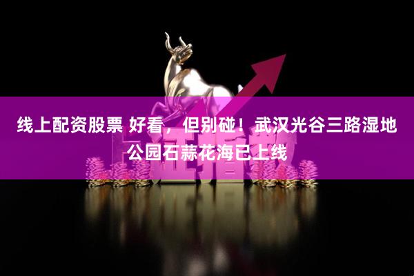 线上配资股票 好看，但别碰！武汉光谷三路湿地公园石蒜花海已上线
